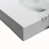 Bathroom Framed Art - Lion Cub with Toilet Roll Hat Minimalist Decor