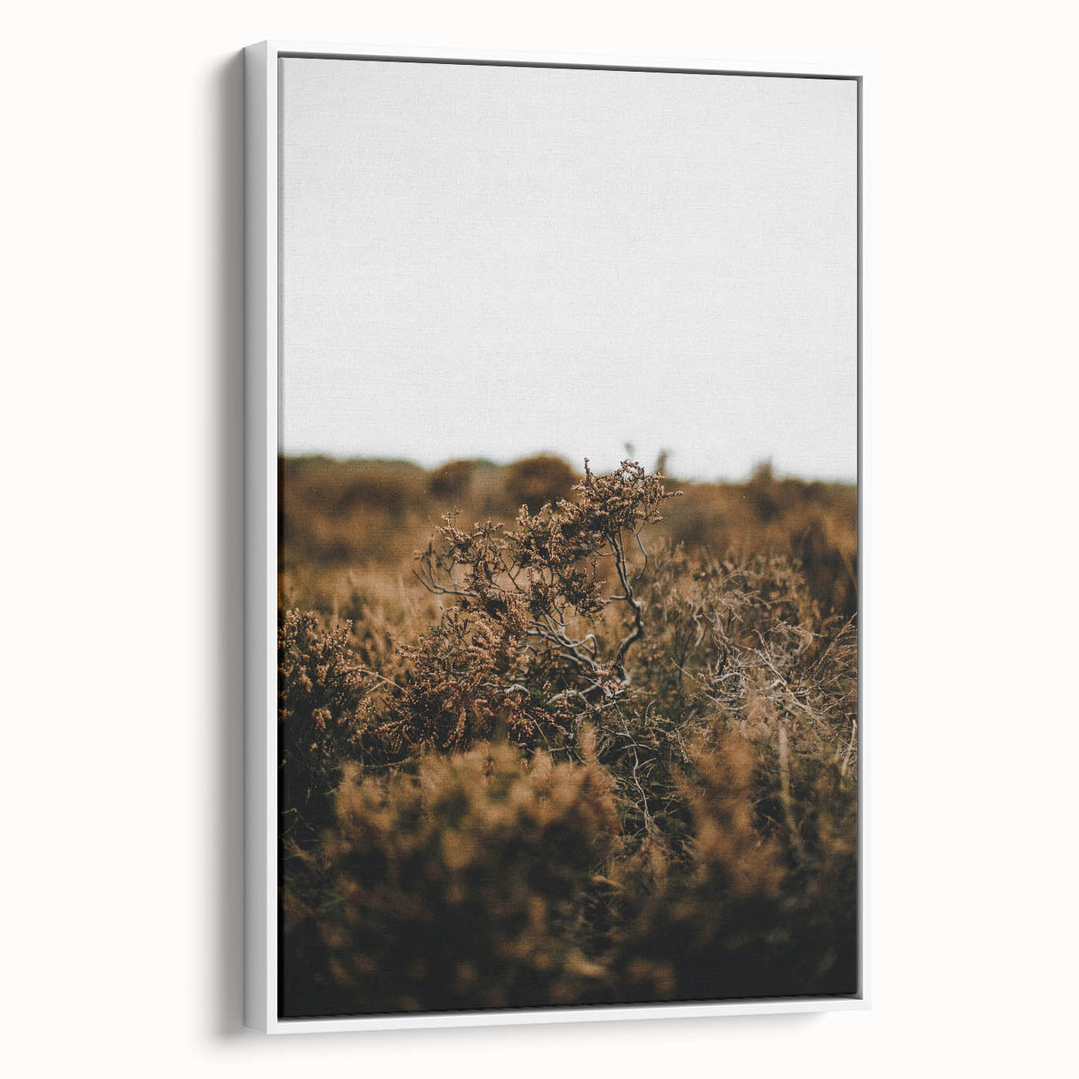 Vintage poster art depicting autumn leaves on a white framed canvas, ideal for living room decor.