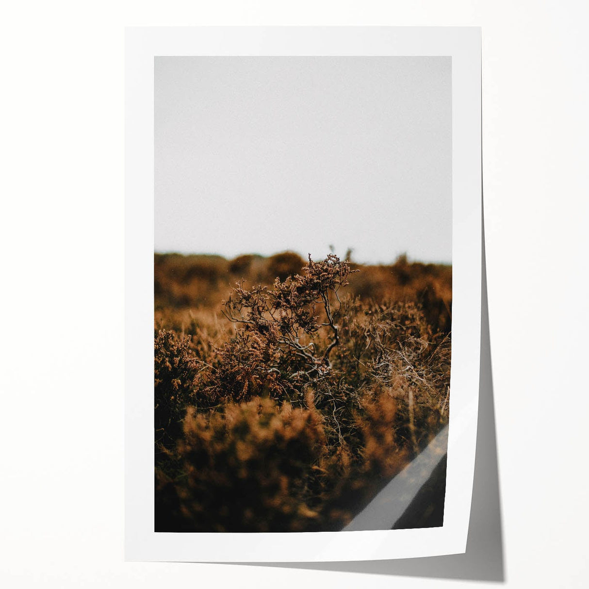 Autumn-themed floral art on rolled canvas with warm orange and brown tones, ideal for dining room wall decor.