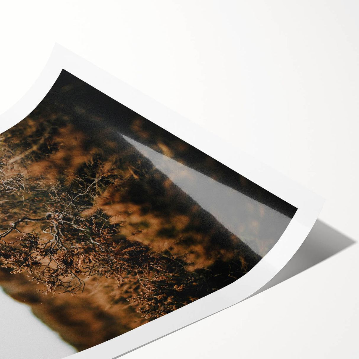 Extra large wall art featuring line art flowers in autumn hues on rolled canvas, ideal for large living room decor.