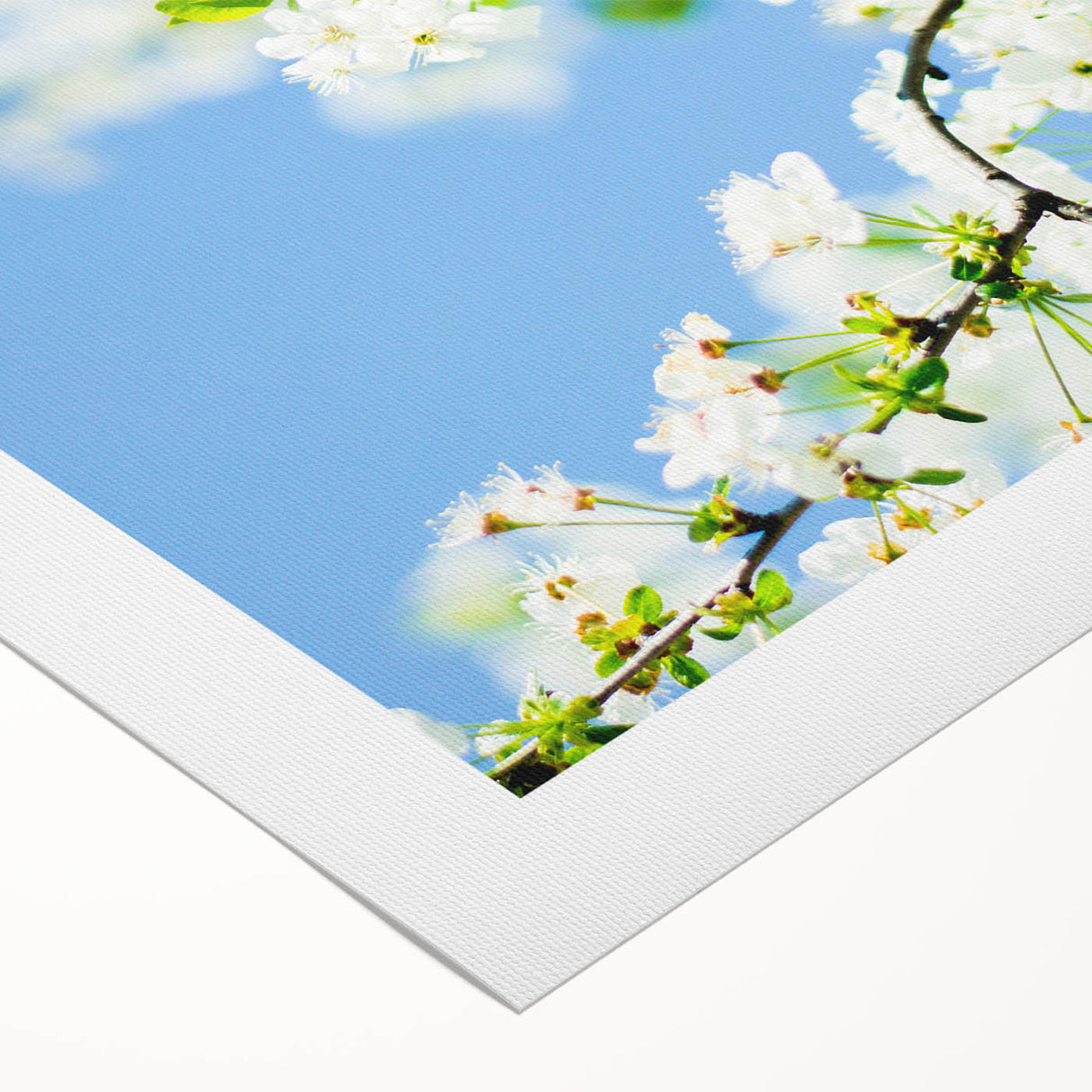Art deco poster featuring vibrant spring-themed flora on a rolled canvas, suitable for dining room walls.