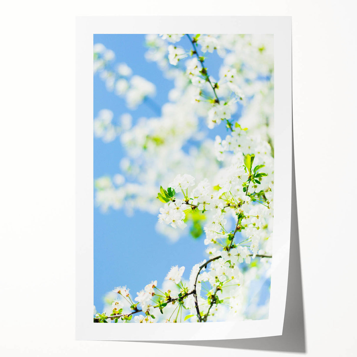 Spring-themed floral art on rolled canvas, showcasing soft pastel shades, ideal for dining room wall decor.
