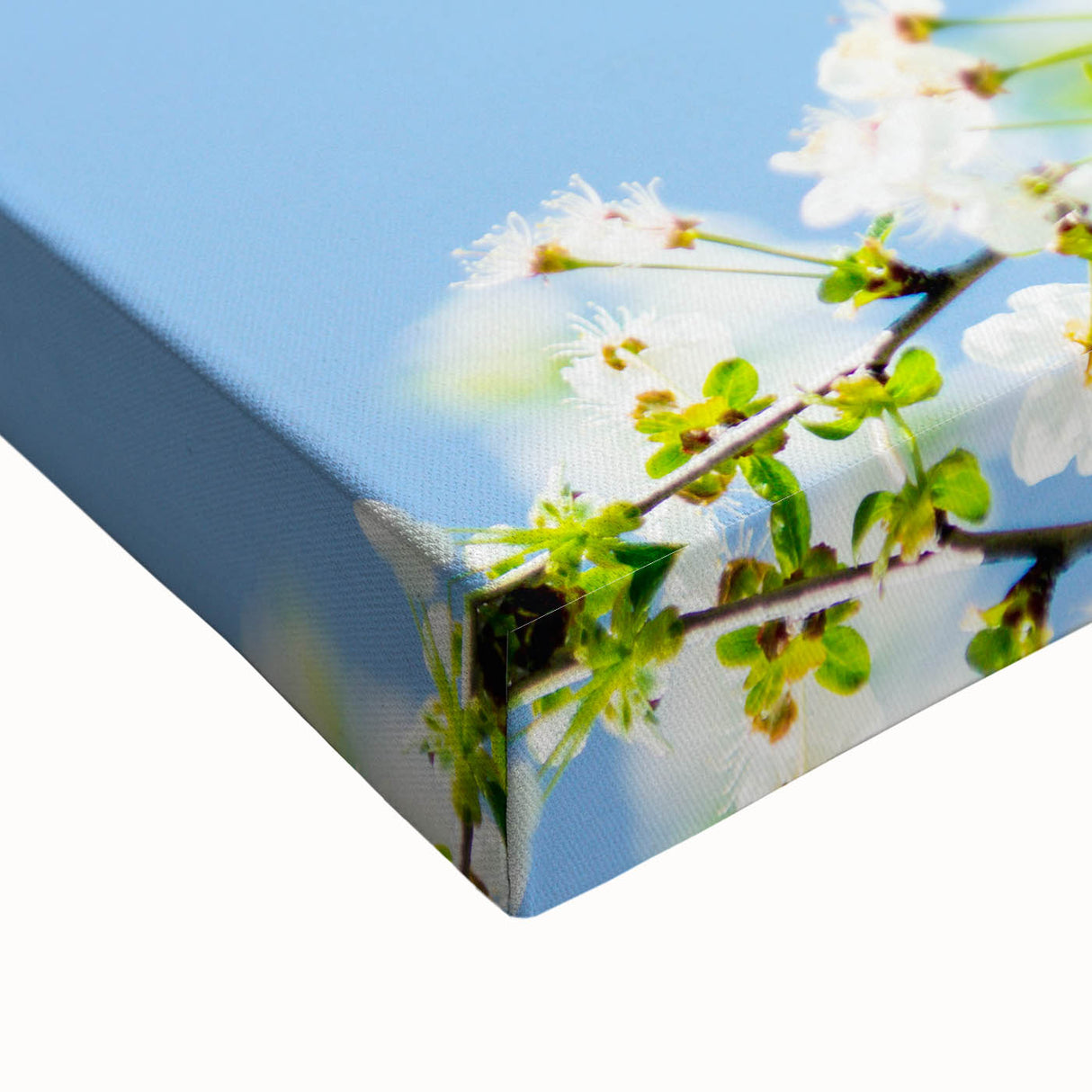 Large art depicting a spring landscape in black and white on stretched canvas, suitable for bedroom wall decor.