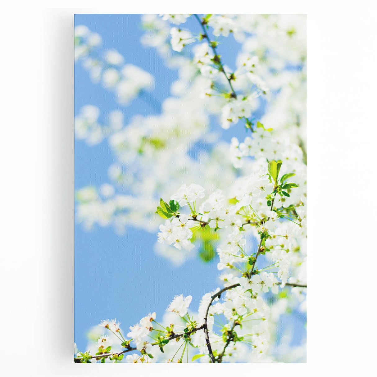 Black and white abstract design on large stretched canvas, ideal for kitchen wall art.