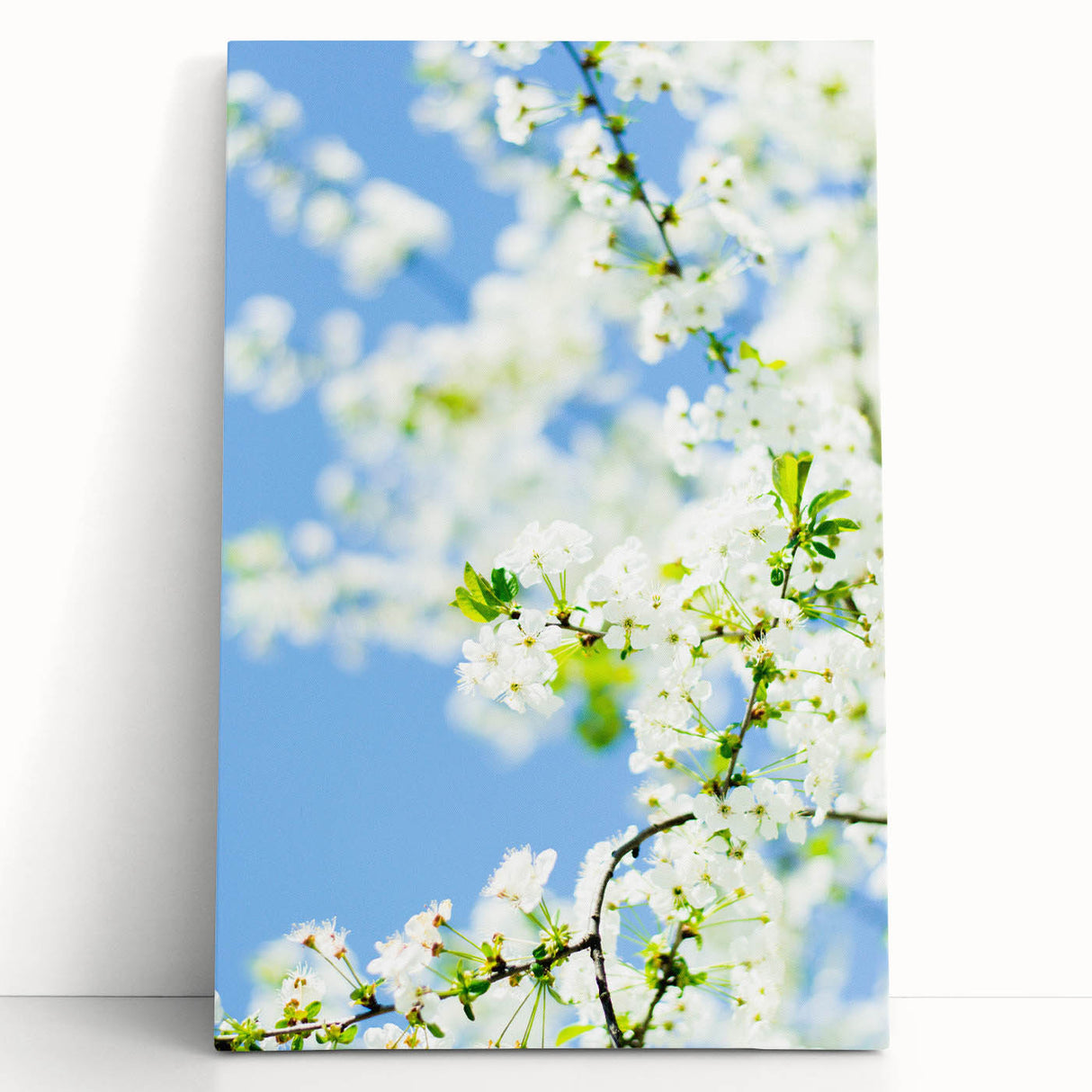 Large black and white abstract canvas depicting spring themes, ideal for kitchen wall art or bedroom ambiance.
