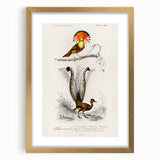 Romanticism Art: Ornate Bird Illustration - Historical Canvas Print