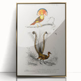 Romanticism Art: Ornate Bird Illustration - Historical Canvas Print