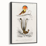 Romanticism Art: Ornate Bird Illustration - Historical Canvas Print