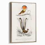 Romanticism Art: Ornate Bird Illustration - Historical Canvas Print