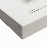 Romanticism Art: Ornate Bird Illustration - Historical Canvas Print