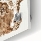 Romanticism Art: Head of a Cow - Historical Animal Sketch Canvas Print