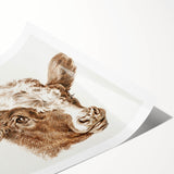 Romanticism Art: Head of a Cow - Historical Animal Sketch Canvas Print