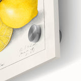 Close-up of large abstract wall art featuring assorted fruits in vibrant colors on acrylic glass, ideal for dining room art.