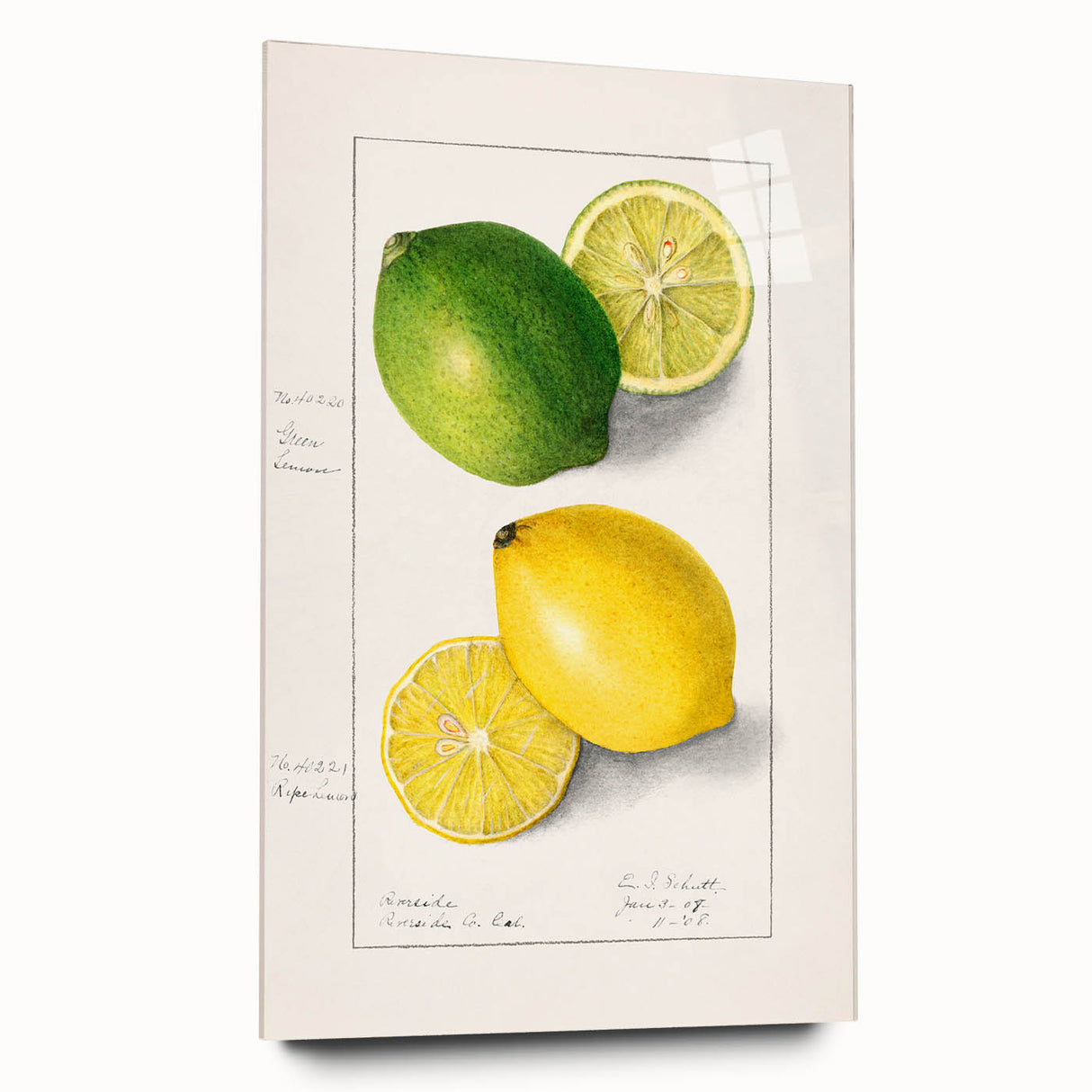 Large abstract wall art of assorted fruits in vibrant colors on acrylic glass, ideal for bedroom or dining room decor.