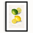 Colorful art featuring abstract fruit designs in vibrant hues, framed with a black mat, ideal for living room decor.