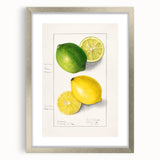 Textured art print of abstract fruits in muted earth tones, framed in silver, ideal for bedroom wall decor.