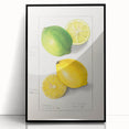 Large abstract wall art featuring assorted fruits in bold colors on a framed acrylic panel, suitable for kitchen decor.