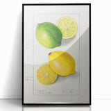 Large abstract wall art featuring assorted fruits in bold colors on a framed acrylic panel, suitable for kitchen decor.