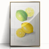 Large art print of assorted fruits in vibrant colors, framed in gold acrylic, in a mid-century modernist style.