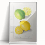 Acrylic print of colorful fruits in art deco style, framed in white, suitable for modern kitchen decor.