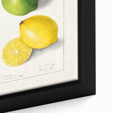 Close-up of extra large black wall art featuring colorful, textured fruits, ideal for living room decor.
