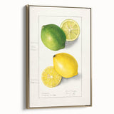 Framed canvas wall art depicting a vintage-style fruit illustration in muted gold and black tones, ideal for bedroom decor.
