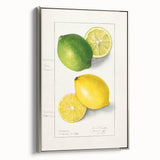 Landscape art painting of colorful fruits on a black background, framed in silver, ideal for kitchen wall decor.