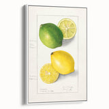 Vintage poster art of colorful fruits on a white framed canvas, ideal for extra large living room wall decor.