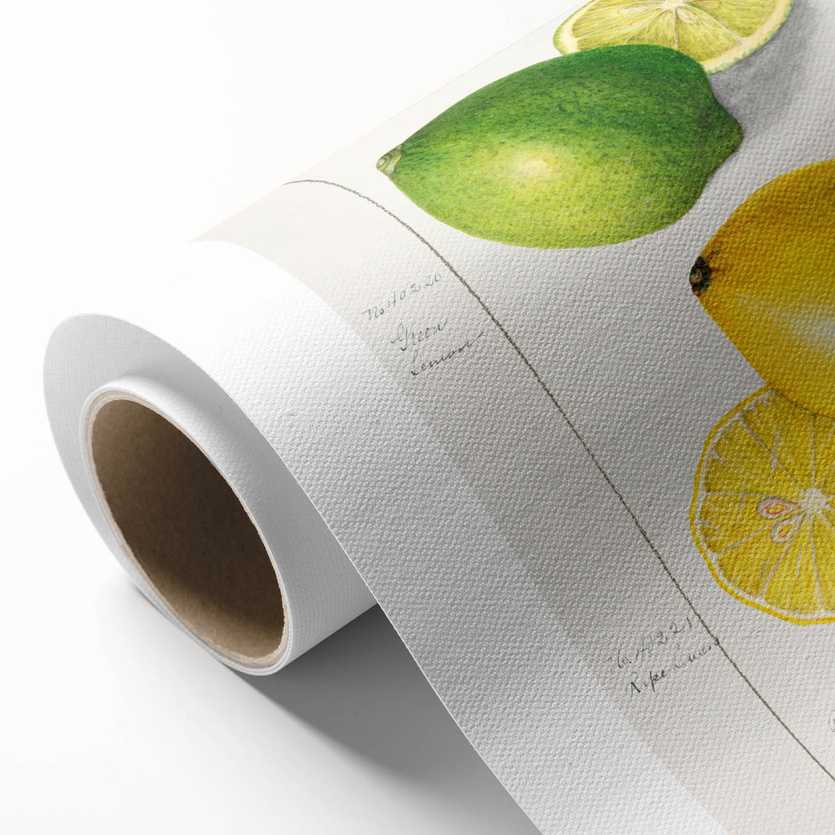 Art deco poster featuring an array of colorful fruits on rolled canvas, ideal for nursery wall art or dining room decor.