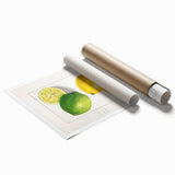 Extra large rolled print featuring a variety of fruits in vibrant colors.