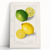 Large black and white stretched canvas featuring an assortment of fruits, ideal for kitchen wall art.