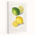 Large stretched canvas featuring a vibrant display of assorted fruits, ideal for kitchen wall art.