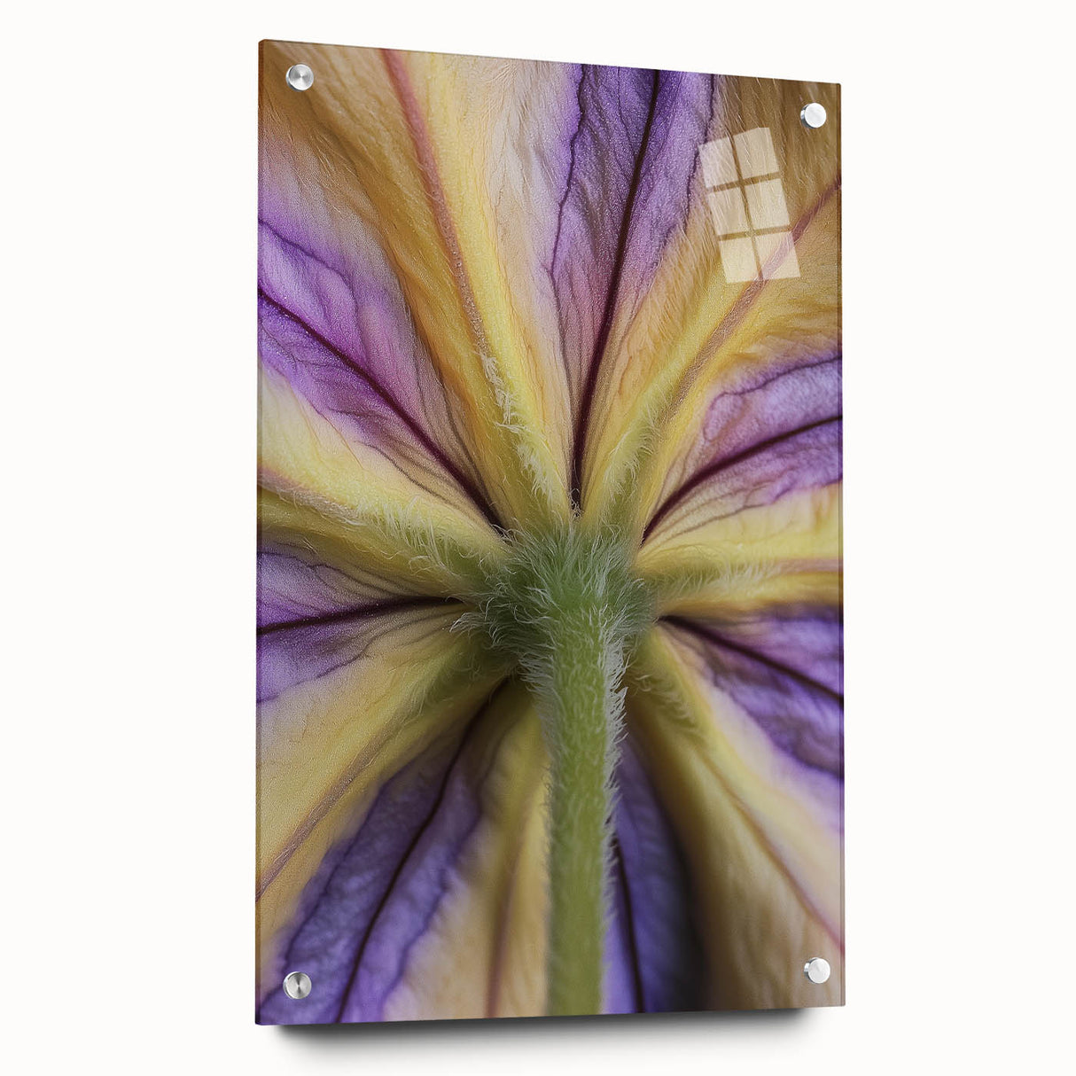 Acrylic print of large abstract floral design in vibrant pink and green tones, ideal for dining room decor.