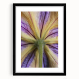 Abstract art print with vibrant, colorful floral patterns on a textured canvas, framed in black, ideal for living room decor.