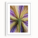 Abstract art print of delicate florals in soft pastel shades, framed in white, ideal for bedroom or dining room decor.