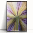 Large abstract wall art featuring vibrant floral designs in a mid-century modernist style, framed in black acrylic.