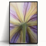 Large abstract wall art featuring vibrant floral designs in a mid-century modernist style, framed in black acrylic.