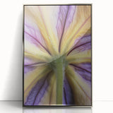 Mid-century modernist art depicting vibrant floral close-ups in a silver-framed acrylic, ideal for nursery wall decor.