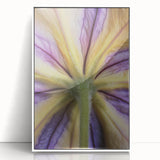 Framed acrylic print of a floral close-up in soft pastel colors, suited for modern nursery wall decor.