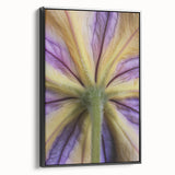 Black and white framed canvas featuring a close-up floral design, ideal for bedroom wall art with a vintage poster art style.