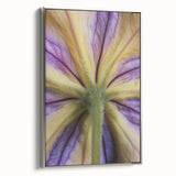 Framed canvas featuring a vintage-style landscape painting with colorful florals against a black background.