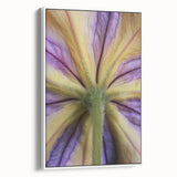 Extra large framed canvas featuring vintage poster art of colorful florals against a black background.