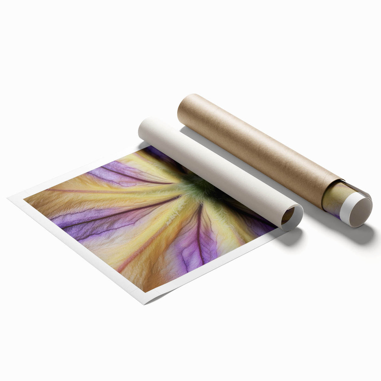 Extra large rolled print featuring close-up floral art in soft pastel shades.
