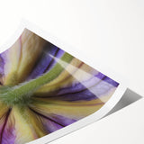 Extra large wall art featuring line art flowers in black and white on a rolled print, suitable for large living room decor.