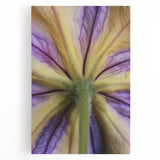 Black and white close-up floral image on stretched canvas, suitable for kitchen wall art.