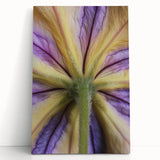 Large black and white floral photograph on stretched canvas, ideal for kitchen wall art or bedroom decor.