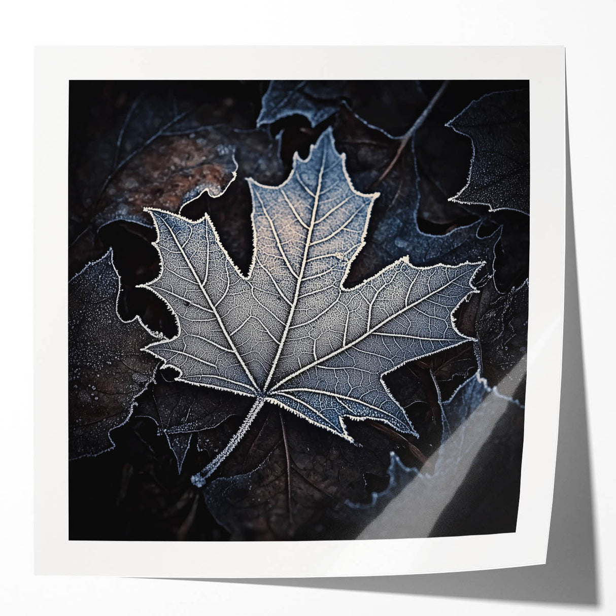Extra large glossy print of close-up green leaves, ideal for art wall dining room or classy bathroom decor.