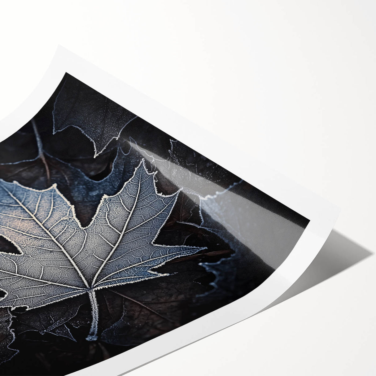 Extra large rolled print featuring close-up line art of leaves in monochrome, ideal for large living room wall art.