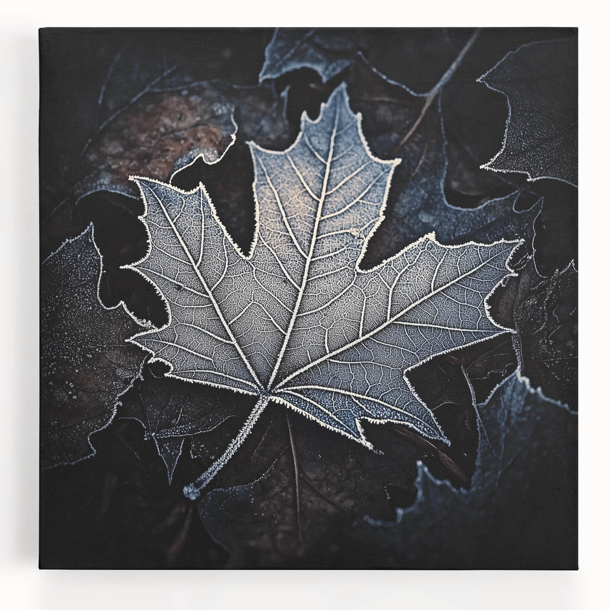 Black and white close-up photo of leaves on a stretched canvas, suitable for kitchen wall art.