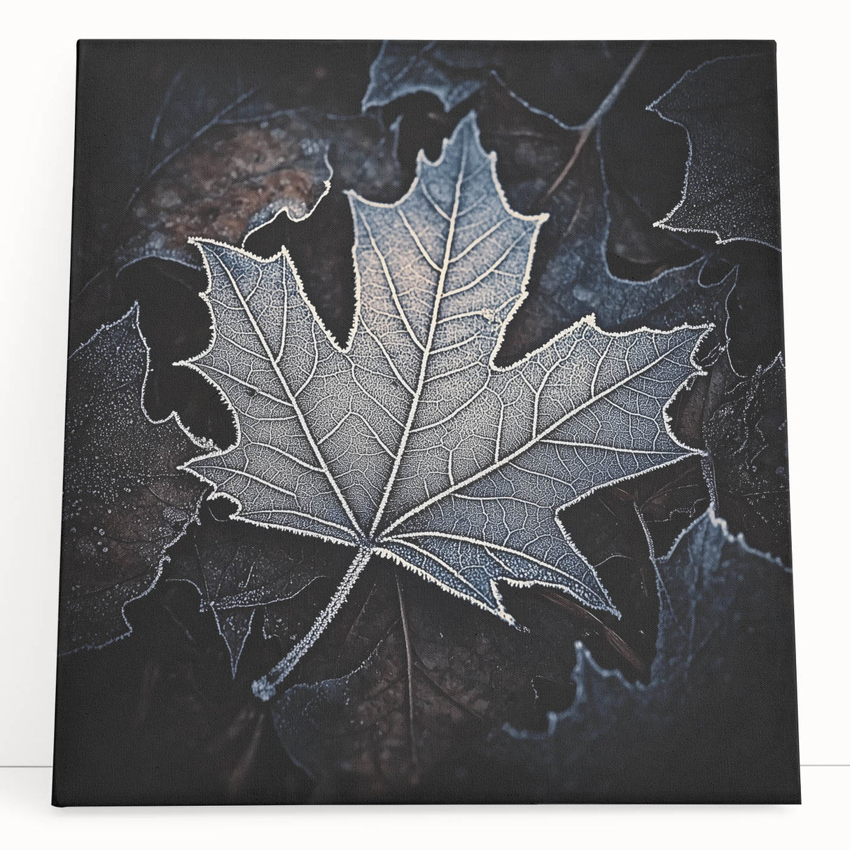 Black and white close-up photo of leaves on large stretched canvas, suitable as kitchen wall art or bedroom decor.